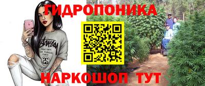 mdpv Новокубанск