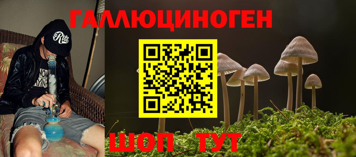 хочу наркоту  Вход с VPN  Чистополь  Галлюциногенные грибы Magic Shrooms 